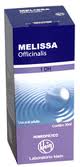 AGUA MELISSA 30ML KLEIN